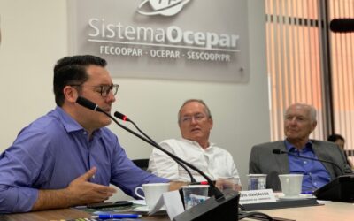 Em reunião híbrida, Comitê de Infraestrutura debate sobre operações da Ferroeste